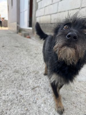 Whatsapp bild 2025 08 05 um 08.56.44 2770a4fa