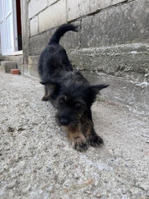 Whatsapp bild 2025 08 05 um 08.56.44 4bb7be31