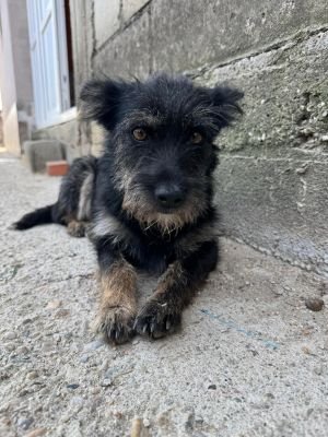 Whatsapp bild 2025 08 05 um 08.56.44 73a56912