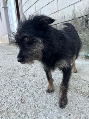 Whatsapp bild 2025 08 05 um 08.56.44 a9bddeaa