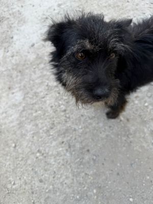 Whatsapp bild 2025 08 05 um 08.58.04 6e90751c