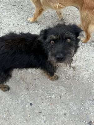 Whatsapp bild 2025 08 05 um 08.58.04 95817cd6