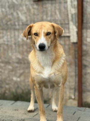 Whatsapp bild 2025 10 06 um 12.28.07 0e42a0ea