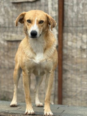 Whatsapp bild 2025 10 06 um 12.28.07 1ff3042e