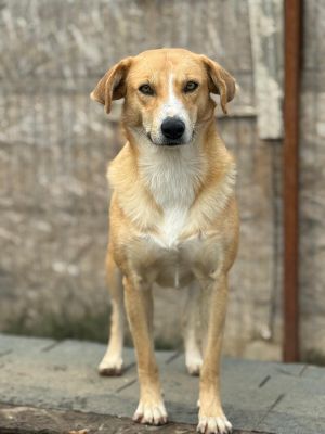 Whatsapp bild 2025 10 06 um 12.28.07 4f1f1755