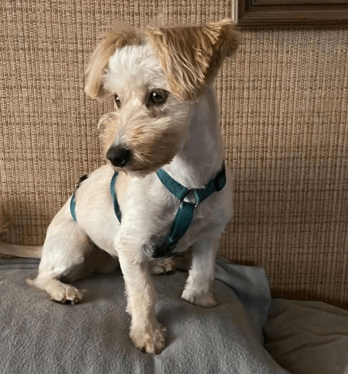 2025 06 22 12 07 18 bibi ❤️ bringt dich mit ihrem blick zum schmelzen! in nordrhein westfalen hert