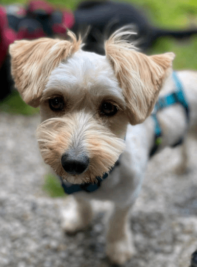 2025 06 22 12 07 27 bibi ❤️ bringt dich mit ihrem blick zum schmelzen! in nordrhein westfalen hert