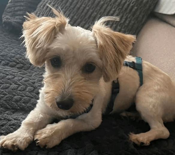2025 06 22 12 07 32 bibi ❤️ bringt dich mit ihrem blick zum schmelzen! in nordrhein westfalen hert