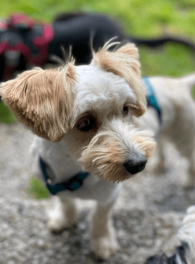 2025 06 22 12 07 44 bibi ❤️ bringt dich mit ihrem blick zum schmelzen! in nordrhein westfalen hert