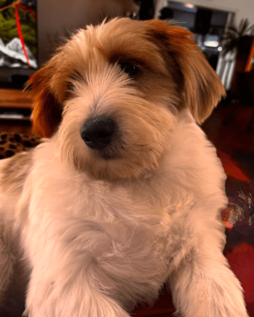 2025 08 15 09 11 58 zauberhafter quirin ♥️ auf der suche nach dem glück in bayern maxhütte haidhof