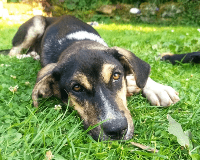 2025 08 19 14 44 55 yente ❤️ kuschelqueen mit köpfchen sucht ihr königreich in thüringen bad lange