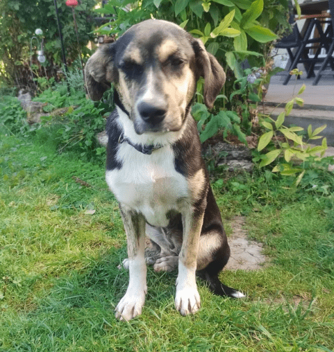 2025 08 19 14 45 04 yente ❤️ kuschelqueen mit köpfchen sucht ihr königreich in thüringen bad lange