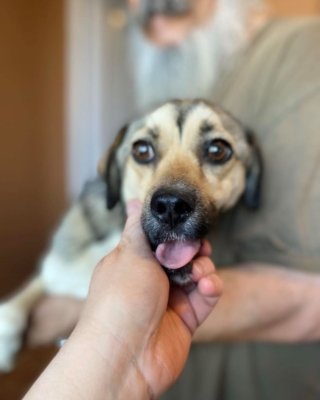 Nayla