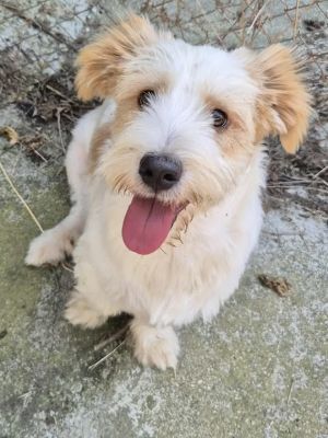 518858729 1276236380609373 9126443787414805694 n