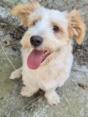 520271610 1438929647152777 1848291902756490170 n