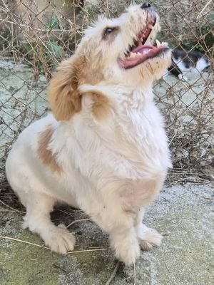 524176414 609112688593165 5518679015220424180 n