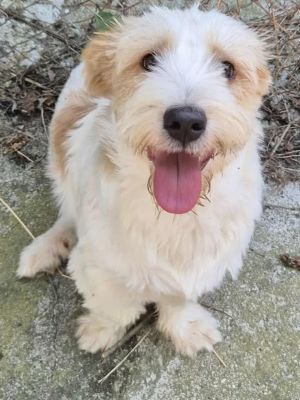 526603948 610875588732240 415059708216279321 n