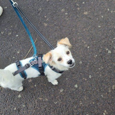 Fb img 1753818175921 copy 399x399