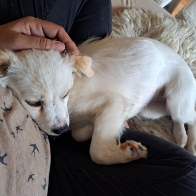 Fb img 1753818183410 copy 399x399