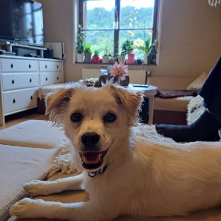 Fb img 1753818197244 copy 432x432