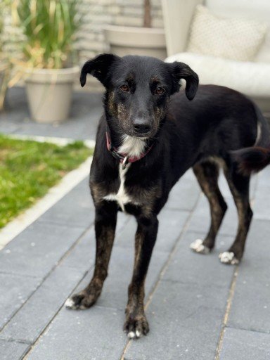 Fb img 1754851031270 copy 384x512