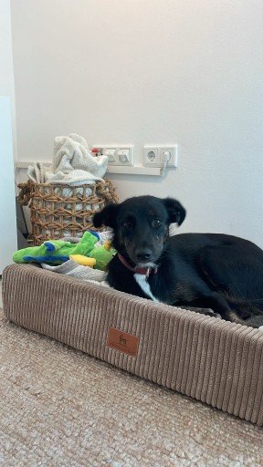 Fb img 1754851040089 copy 288x512