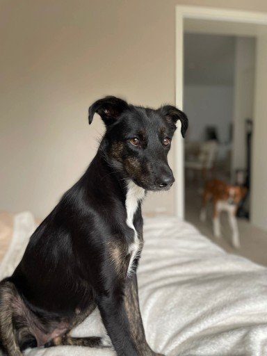 Fb img 1754851042376 copy 384x512