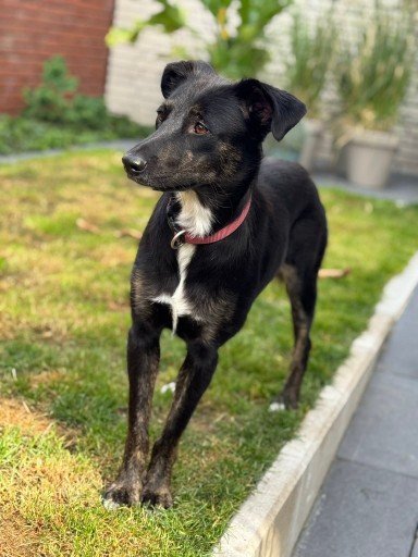 Fb img 1754851050918 copy 384x512