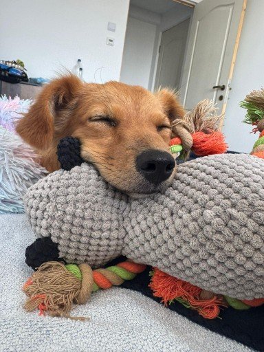 Fb img 1756492566723 copy 384x512