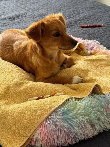 Fb img 1756492568731 copy 384x512