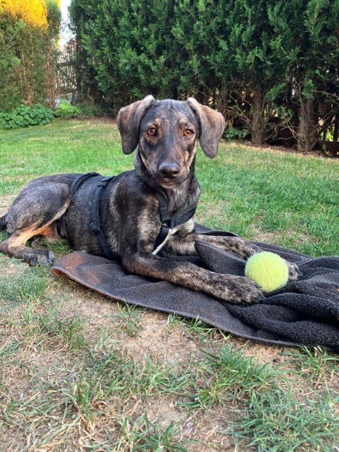 Fb img 1756578227021 copy 480x640