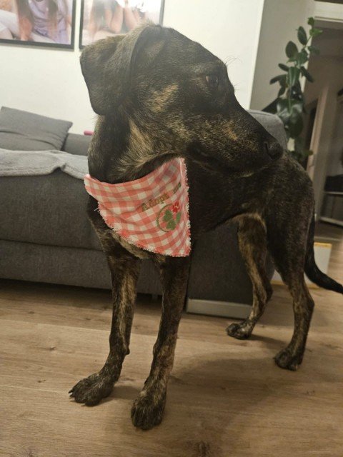 Fb img 1756578232376 copy 480x640