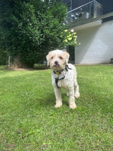 Img 20250729 wa0193 copy 384x512