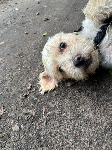 Img 20250729 wa0198 copy 384x512