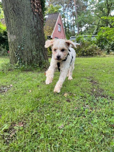 Img 20250729 wa0200 copy 384x512