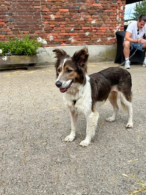 Img 2025 07 29 081658