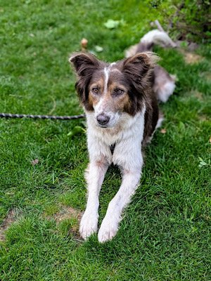 Img 2025 07 29 081736