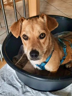 Img 2025 07 30 150114