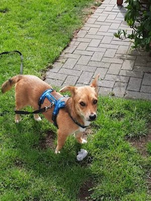 Img 2025 07 30 150126