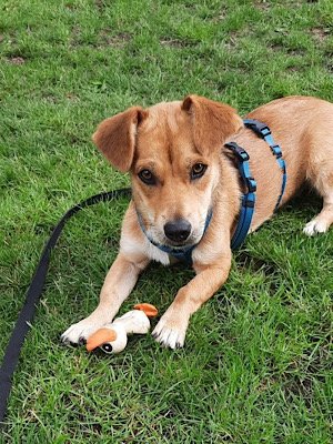 Img 2025 07 30 150144