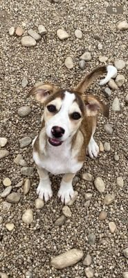 Whatsapp bild 2025 07 15 um 16.00.41 334452c3