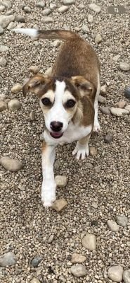 Whatsapp bild 2025 07 15 um 16.00.41 470d4ed4