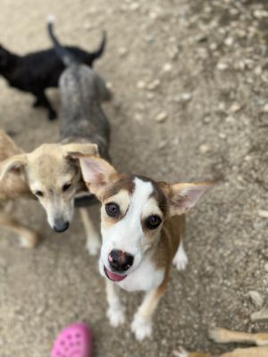 Whatsapp bild 2025 07 15 um 16.01.35 971ee2f3