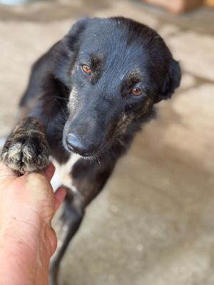 Whatsapp bild 2025 07 16 um 09.26.40 8a2c71b1