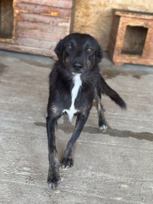 Whatsapp bild 2025 07 16 um 09.26.41 2514e9fe