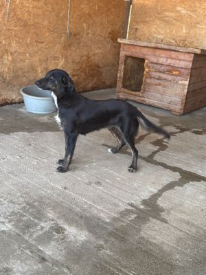 Whatsapp bild 2025 07 16 um 09.26.41 293621fe