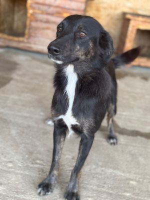 Whatsapp bild 2025 07 16 um 09.26.43 dc55c8fb