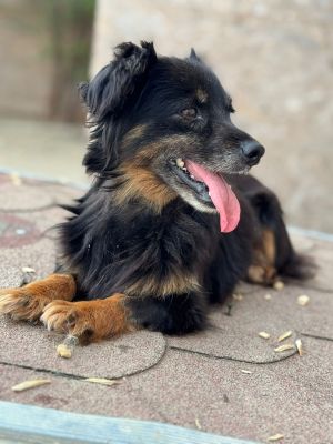 Whatsapp bild 2025 07 16 um 15.21.29 e534d6e7