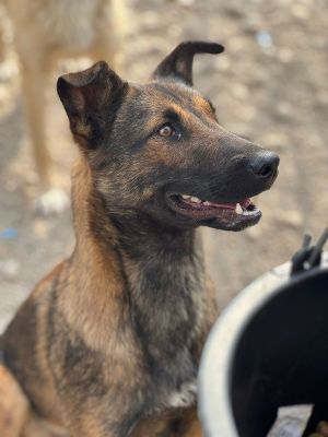 Whatsapp bild 2025 07 16 um 16.20.34 4c63d90d