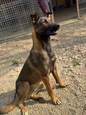 Whatsapp bild 2025 07 16 um 16.20.34 b6f1e01b